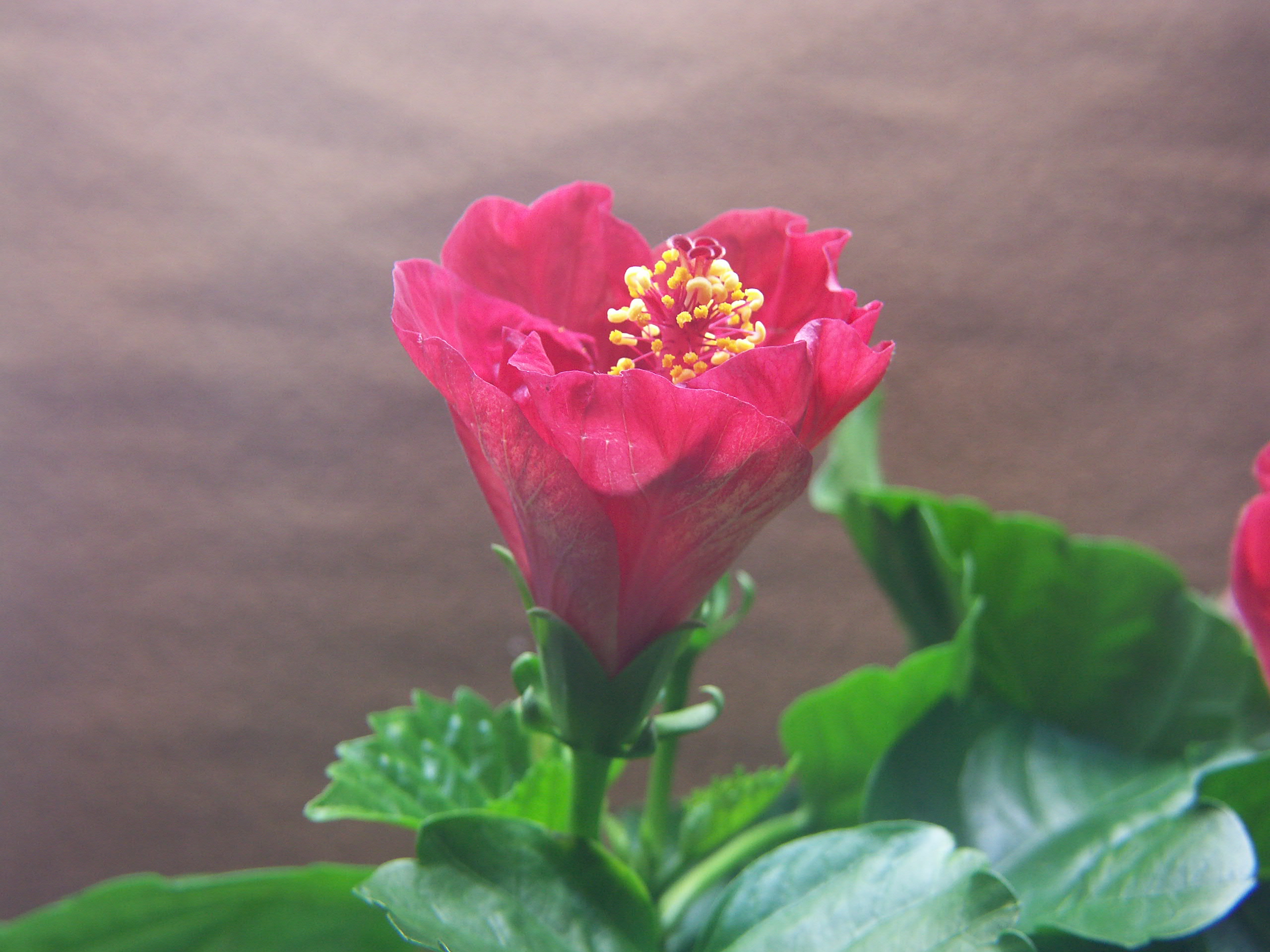 pict0166.jpg