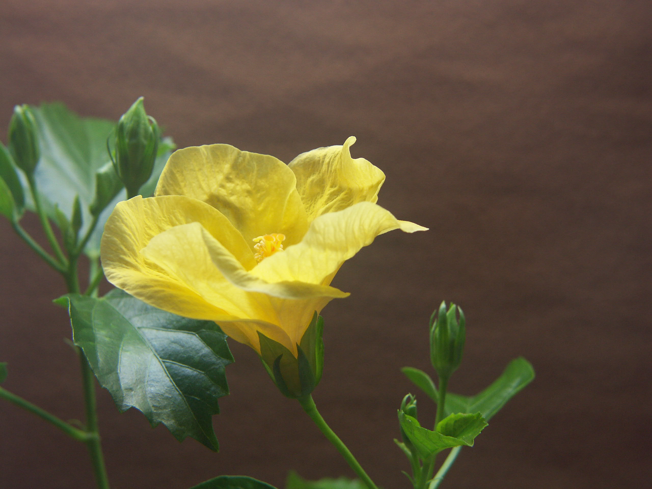 pict0377.jpg